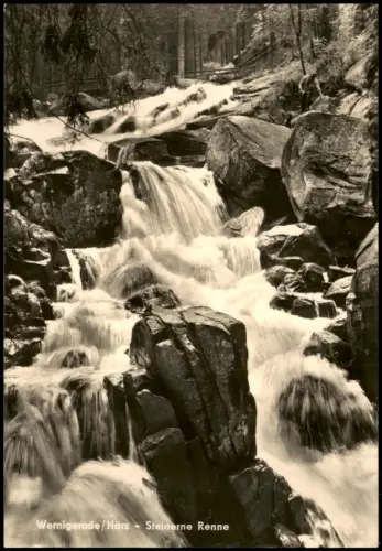 Ansichtskarte Wernigerode Steinerne Renne - Fotokarte 1967