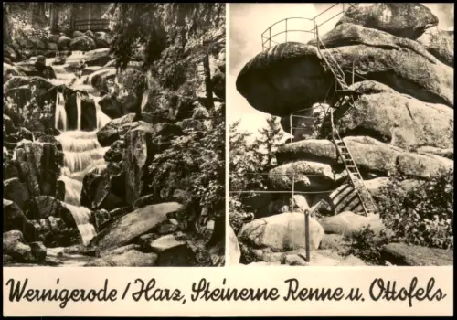 Ansichtskarte Wernigerode Steinerne Renne Ottofels - Fotokarte 1967