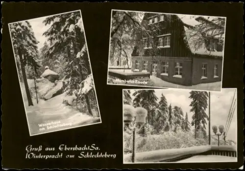 Ebersbach/Sa.-Ebersbach-Neugersdorf Mehrbild Schlechteberg im Winter 1965