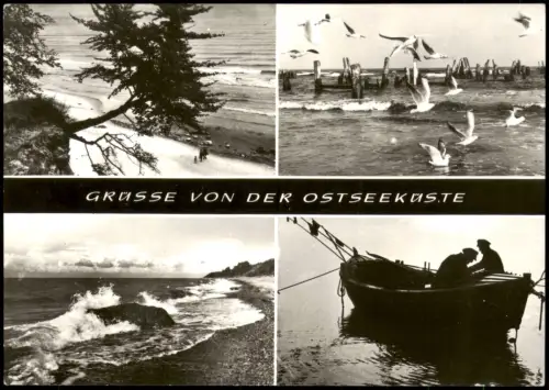 .Mecklenburg-Vorpommern Ostsee Baltic Sea Möwen Fischerboot Strand 1982