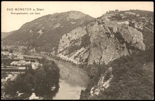 Ansichtskarte Bad Münster am Stein-Ebernburg Rheingrafenstein und Gans 1916