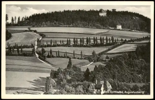 Bad Gottleuba-Bad Gottleuba-Berggießhübel Partie am Augustusberg 1925