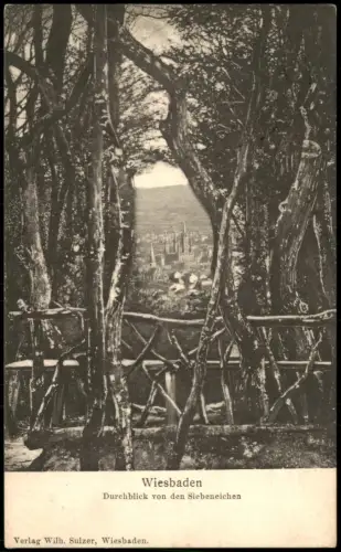 Ansichtskarte Wiesbaden Durchblick von den Siebeneichen 1908