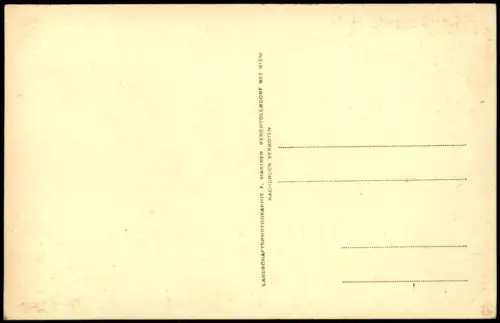 Ansichtskarte Lienz Partie an der Stadt 1930