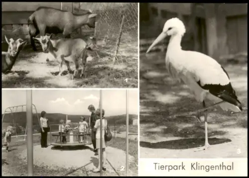 Klingenthal Tierpark DDR Mehrbild-AK mit Tieren, Kinder-Spielplatz 1975