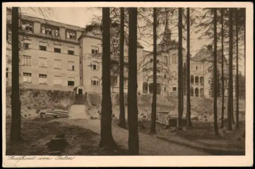 Ansichtskarte Benneckenstein Johanniterheilanstalt Sorge 1931