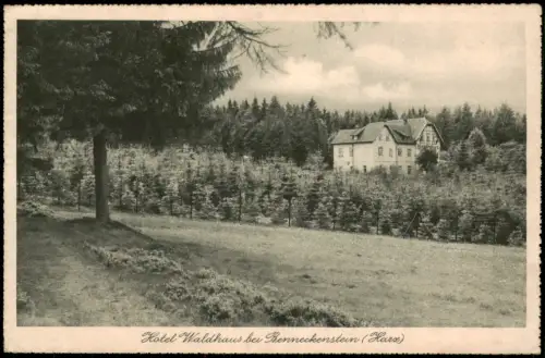 Ansichtskarte Benneckenstein Hotel Waldhaus Harz 1930