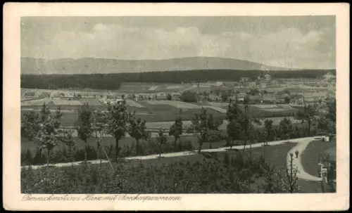 Ansichtskarte Benneckenstein Straße Harz mit Brockenpanorama. 1925