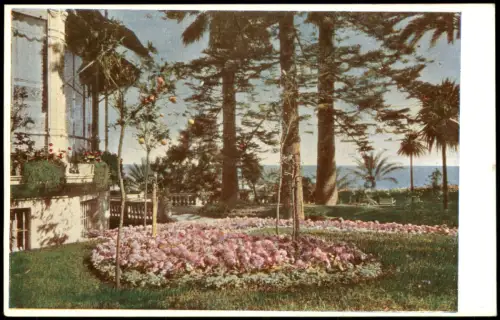 Cartolina San Remo Sanremo HOTEL ROYAL Autocromie Nebbia 1930