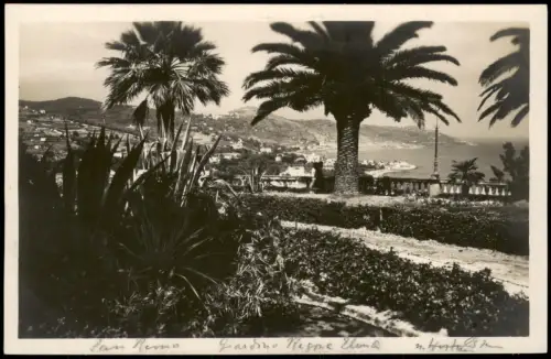 Cartolina San Remo Sanremo Giardino Regina Elena Palmen Fotokarte 1929