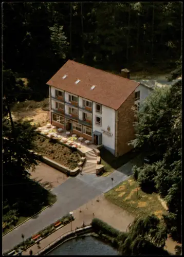 Ansichtskarte Bergzabern Luftbild Luftaufnahme Kurhotel Seeblick 1965