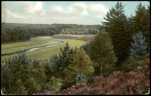Ansichtskarte Bomlitz Bomlitztal Lüneburger Heide 1911