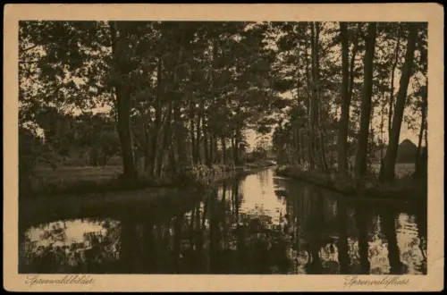 Lübbenau (Spreewald) Lubnjow Spreewaldfliess. Spreewaldbilder 1929