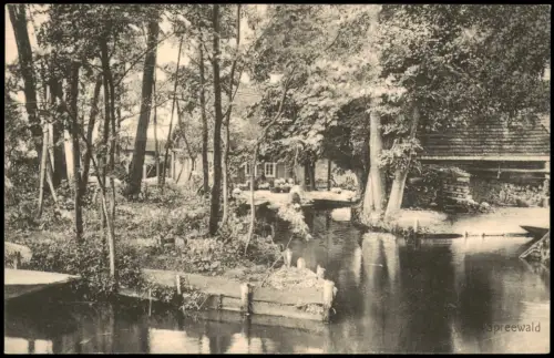 Ansichtskarte .Brandenburg Spreewlad Ortspartie 1915