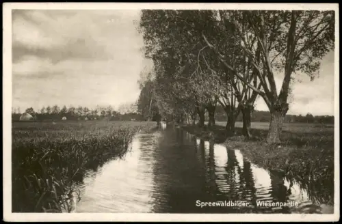 Ansichtskarte Lübbenau (Spreewald) Lubnjow Spreewaldbilder Wiesenpartie 1929