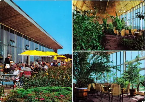 Frankfurt (Oder) HO-Gaststätte "Wintergarten" - Außen- und Innenansicht mit Gästebereich (viele Pflanzen) 1982