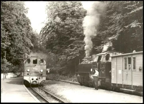Heiligendamm-Bad Doberan Sammelkarte Foto der Weiße Bahnhof Dampflokomotive 1972