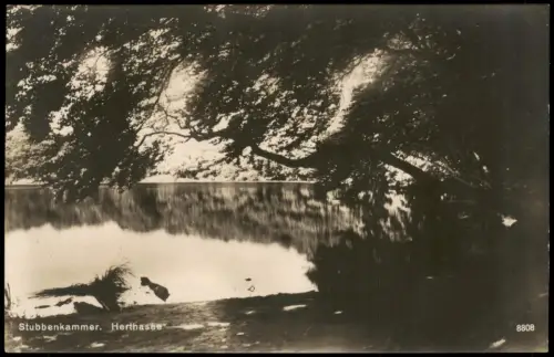 Ansichtskarte Stubbenkammer-Sassnitz Saßnitz Herthasee 1929
