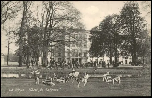 La Haye-du-Puits La Haye-du-Puits La Haye Hotel de Bellevue, Tierpark 1910