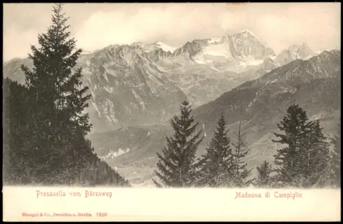 Madonna di Campiglio Sankt Maria im Pein  Presanella vom Bärenweg 1905