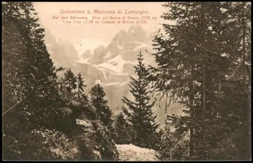 Madonna di Campiglio Sankt Maria im Pein Dolomiten Dolomiti  Bärenweg 1912