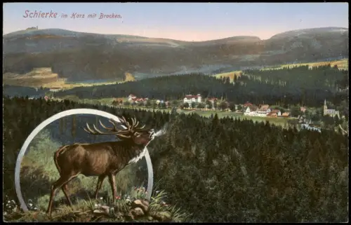 Ansichtskarte Ilsenburg (Harz) 2 Bild: Stadt und Hirsch 1915