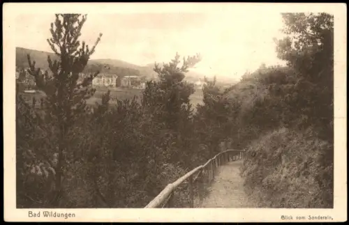 Ansichtskarte Bad Wildungen Umland-Ansicht Blick vom Sonderain 1926