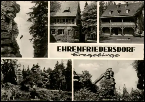 Ehrenfriedersdorf DDR Mehrbild-AK Greifensteine 5 Erzgebirge 1959