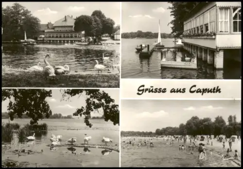 Caputh-Schwielowsee DDR Mehrbild-AK u.a mit Gaststätte Fährhaus, Seebad 1983