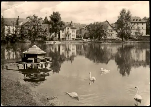 Ansichtskarte Bad Salzungen DDR AK Partie am Burgsee 1972