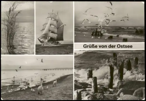 .Mecklenburg-Vorpommern DDR Mehrbildkarte Grüße von der Ostsee 1985