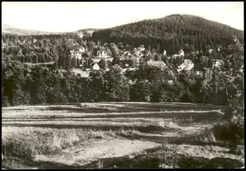 Bärenfels (Erzgebirge)-Altenberg (Erzgebirge) Blick zum Spitzberg 1977