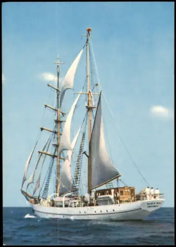 Ansichtskarte  Segelschulschiff Wilhelm Pieck 1969