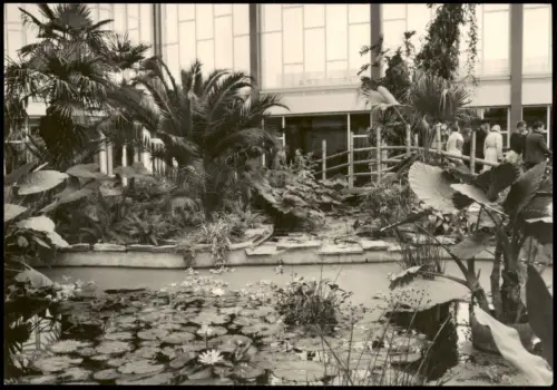 Mitte Berlin Tierpark Ausschnitt Tropenhalle des Alfred-Brehm-Hauses 1964