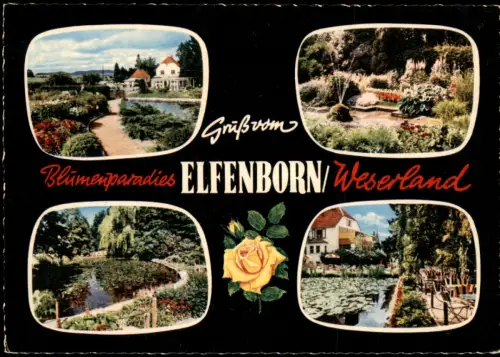 Elfenborn-Kalletal Mehrbildkarte Blumenparadies ELFENBORN Weserland 1960