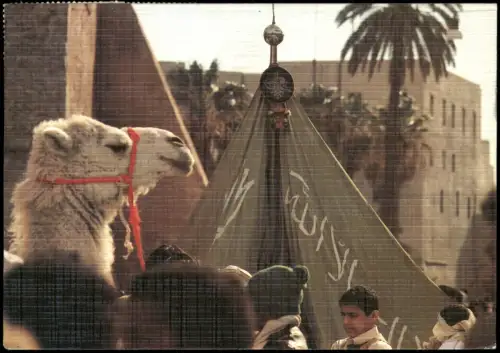 Postcard .Saudi Arabien Arabien Arabische Typen mit Kamel Camel 1987