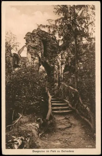 Ansichtskarte Weimar Burgruine im Park zu Belvedere 1910