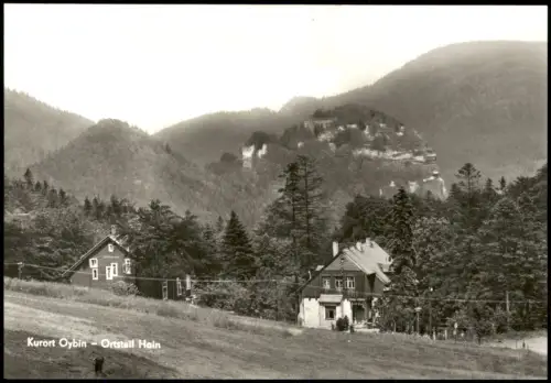 Ansichtskarte Hain-Oybin Partie am Ort 1980