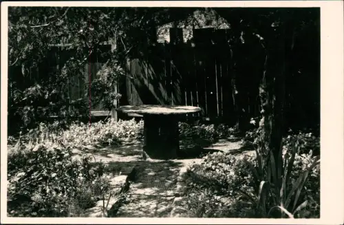 Ansichtskarte Lutherstadt Wittenberg Fotokarte Foto Ansicht eines Garten 1960