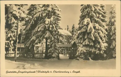 Waldidylle-Altenberg (Erzgebirge) Gaststätte Waldidylle Winter 1953