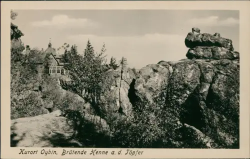 Ansichtskarte Oybin Brütende Henne a. d. Töpfer Fotokarte 1955
