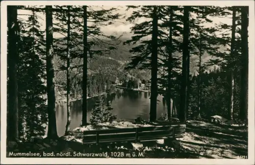 Ansichtskarte Achern Mummelsee Parkbank im Wald 1939