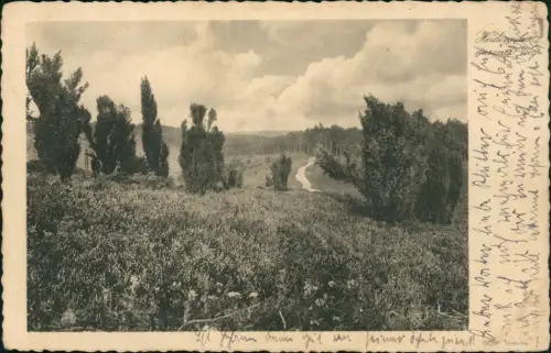 Ansichtskarte .Niedersachsen Lüneburger Heide Heidezauber Weg 1934