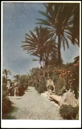 Cartolina San Remo Sanremo SAN REMO HOTEL ROYAL Autocromie Nebbia 1930