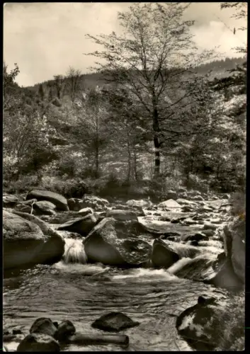 Ansichtskarte Ilsenburg (Harz) Ilsetal zur DDR-Zeit 1966