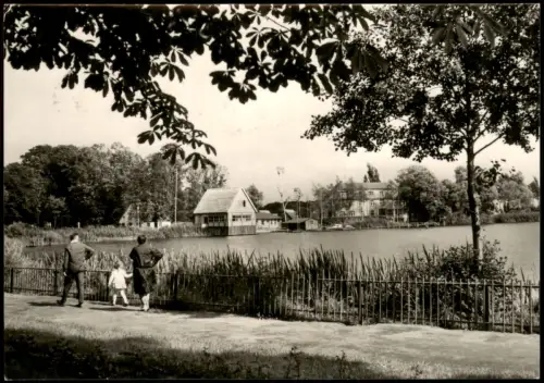 Ansichtskarte Röbel/Müritz Seepromenade und Seglerheim zur DDR-Zeit 1973