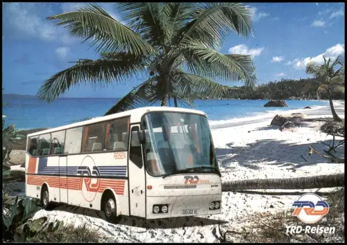 Verkehr/KFZ - Bus Reisebus TRD-Reisen Reklamekarte Palmen Strand 1990
