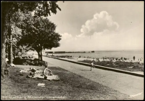 Postcard Sonderburg Sønderborg Strandpromenaden Strand Promenade 1955