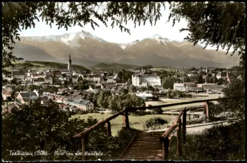 Ansichtskarte Traunstein Panorama-Ansicht Blick von der Weinleite 1964