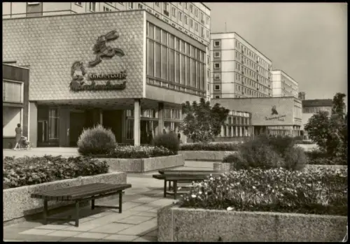 Ansichtskarte Magdeburg Karl-Marx-Straße - Fotokarte 1969